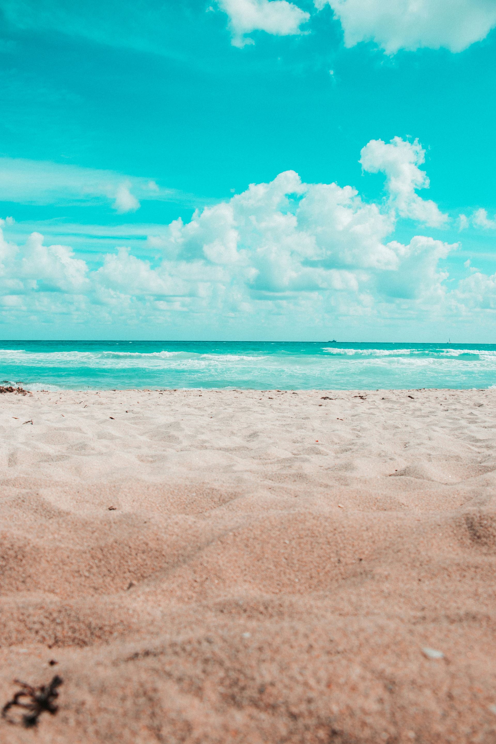 beach sea sun sand  