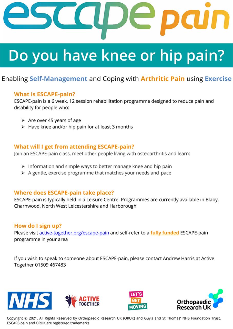 poster for escape pain